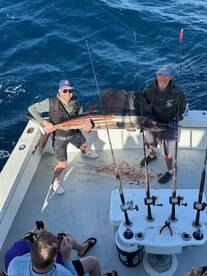 Dania Beach Report Photo 2