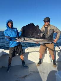 Sailfish are Starting to Show in Fort La