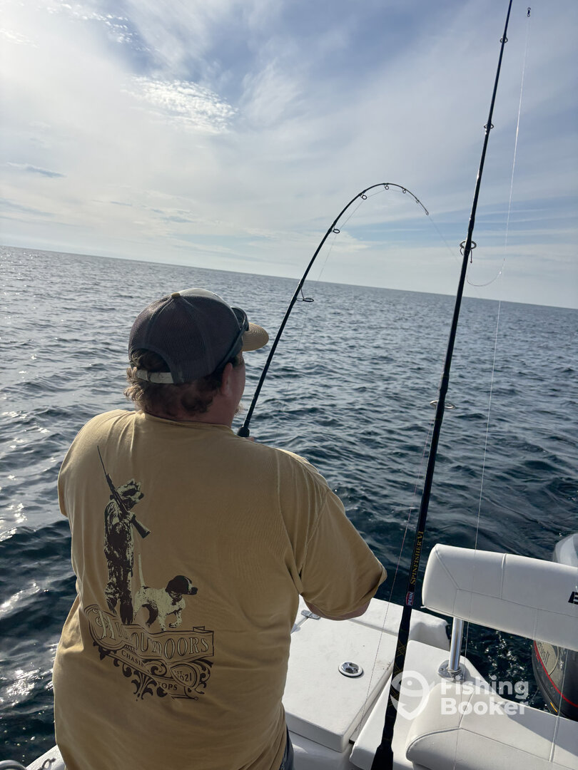 Gulf Breeze Report Photo 0