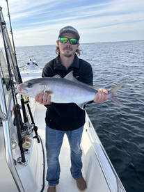Gulf Breeze Report Photo 1