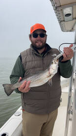 Galveston Report Photo 1
