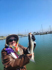 Galveston Report Photo 2
