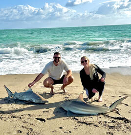 Jensen Beach Report Photo 2