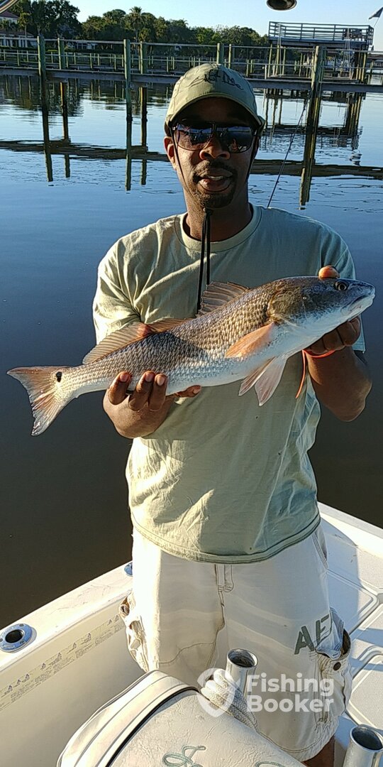 Port Orange Report Photo 0