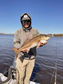 Jacksonville Report Photo 2