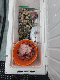 Ucluelet Report Photo 2