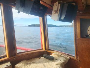 Ucluelet Report Photo 1