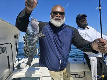 St. Simons Island Report Photo 1