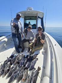 St. Simons Island Report Photo 2