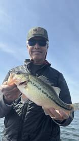 Branson Report Photo 2