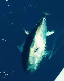 Nice father and son trip.