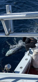 Hatteras Report Photo 1