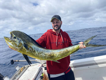 Big mahi