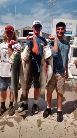 Montauk Report Photo 1