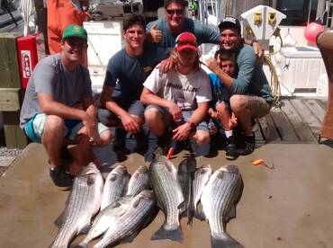 4th of July Stars & Stripers