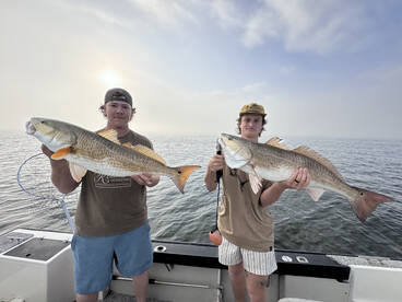 Galveston Report Photo 1