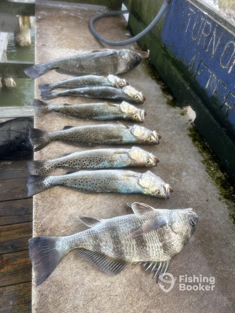 Rio Hondo Report Photo 0
