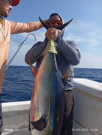 Some big tunas and pineapple ? goodlook 