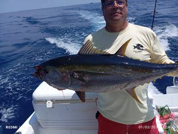 Mission accomplished soldier 