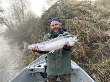 Winter steelhead in Oregon