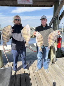 4hr inshore trip