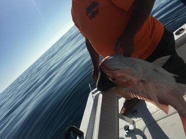 Bad pic but a big Red Snapper 