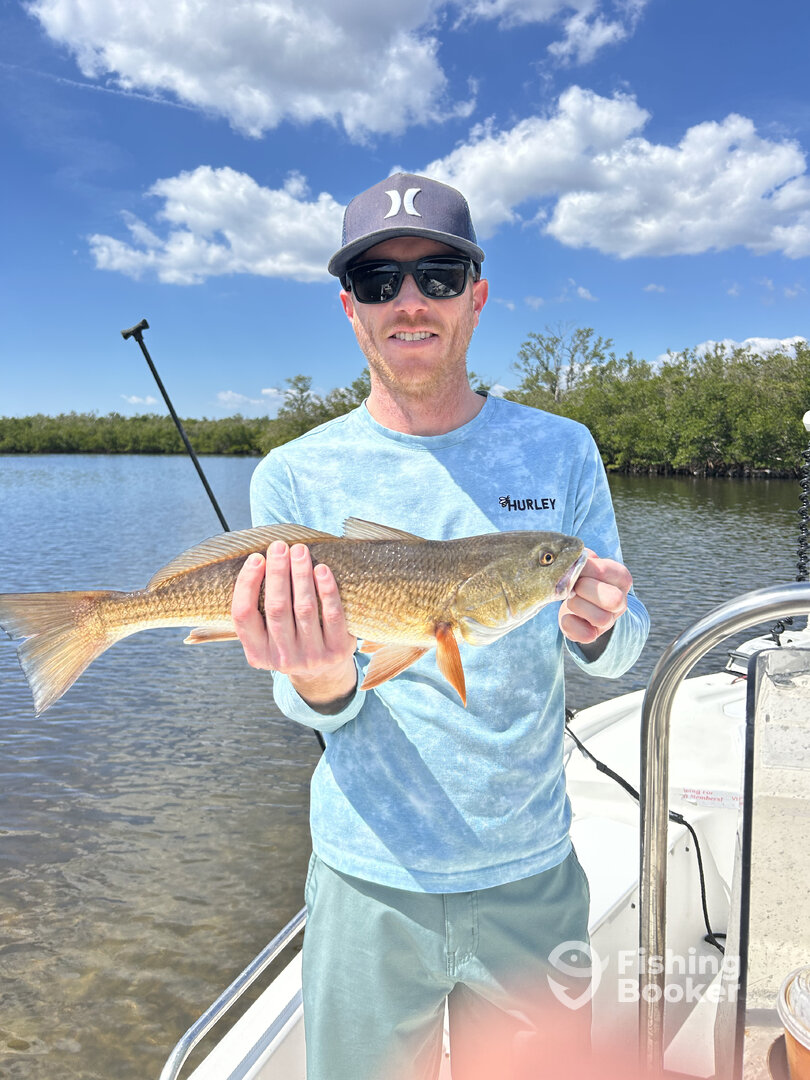Punta Gorda Report Photo 0