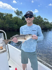 Punta Gorda Report Photo 2
