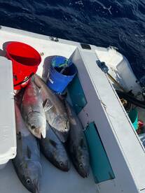 Playa Del Carmen Report Photo 1