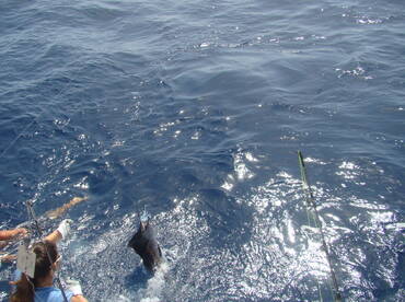 Fort Lauderdale Report Photo 2