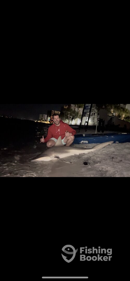 Destin Report Photo 0