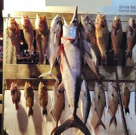 Destin Report Photo 1