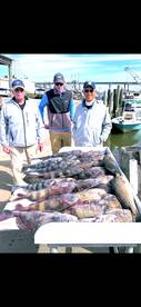 Texas City Report Photo 1