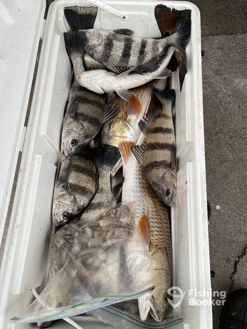 Aransas Pass Report Photo 0
