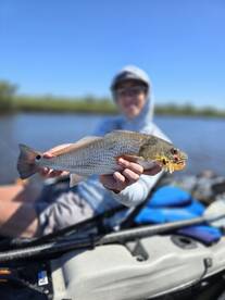 New Smyrna Beach Report Photo 2