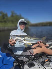 Windy with a chance of Fish