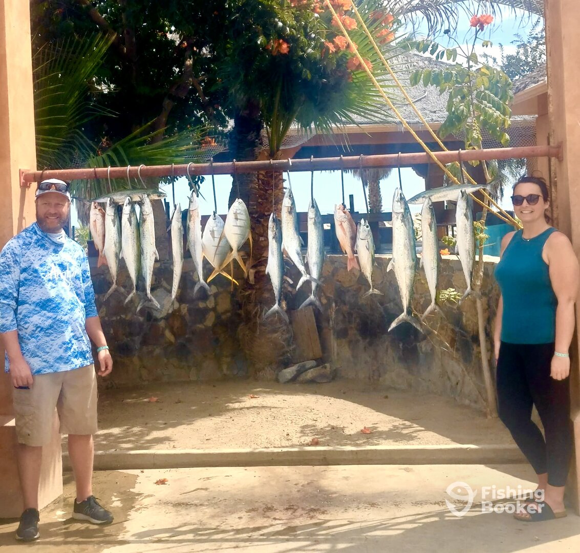 San Jose del Cabo Report Photo 0
