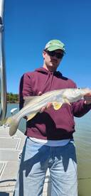 Snook & Sharks