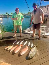 Reef is still red hot!