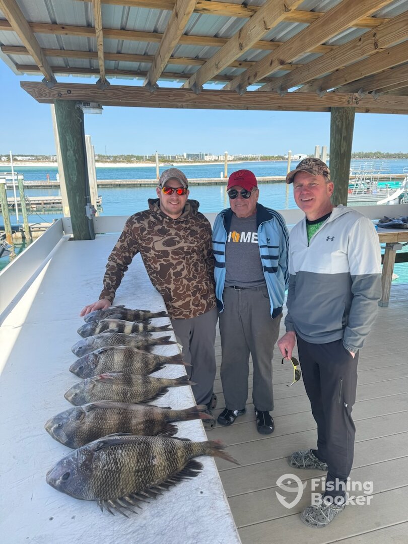 Orange Beach Report Photo 0
