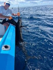 Herradura Report Photo 2