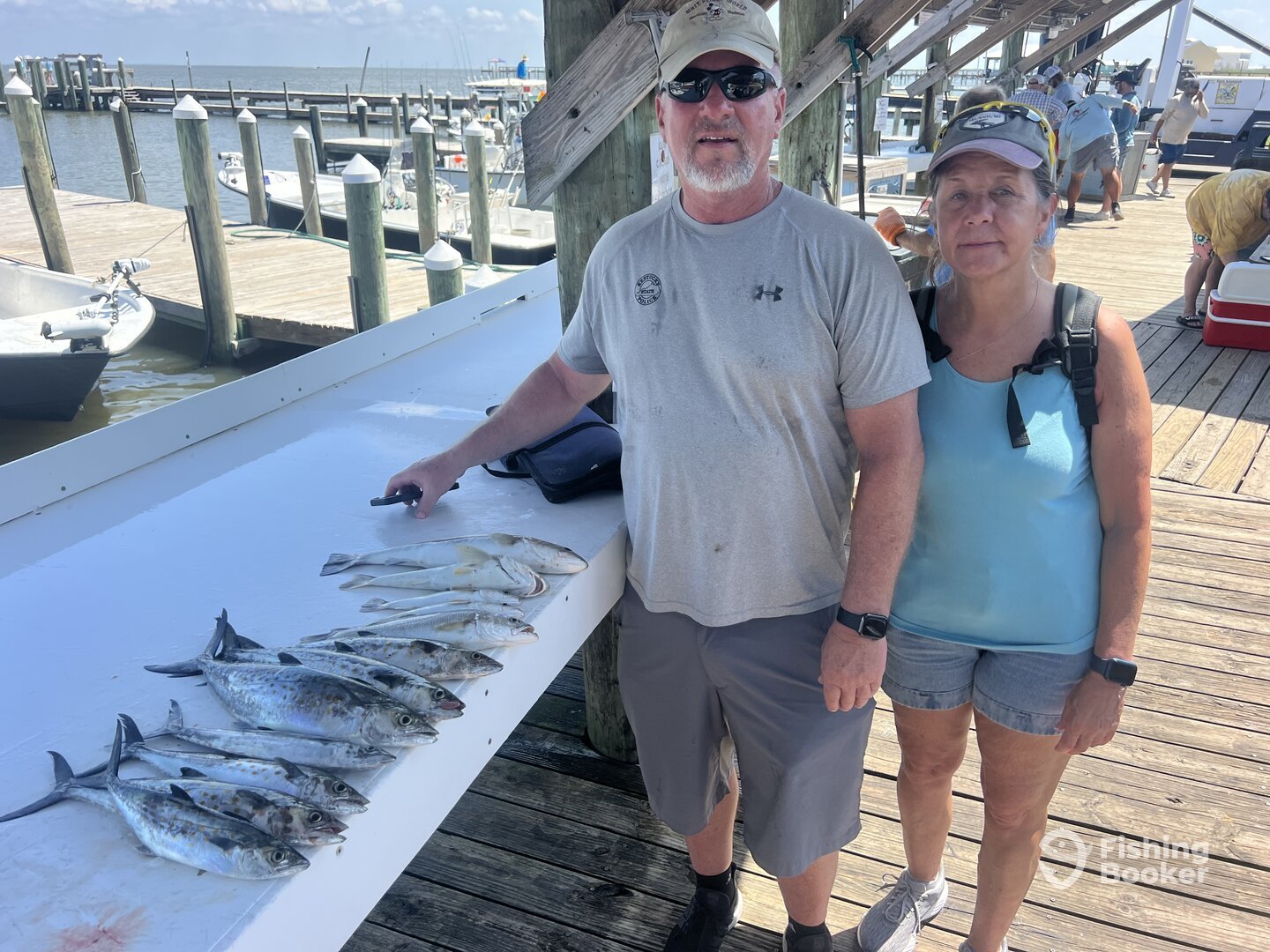 Gulf Shores Report Photo 0