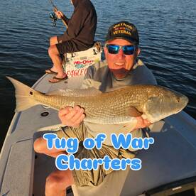 Tug Of War!!! Tug on it!!!