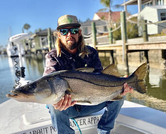 Big Snook