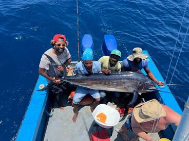 Marlin day 