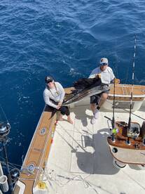 Beautiful day in the Sailfish Capital