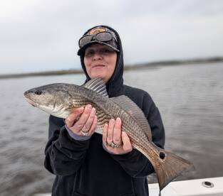 Jacksonville Report Photo 1