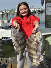 Gulf Shores Report Photo 2