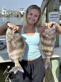 Gulf Shores Report Photo 1