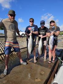 Haleiwa Report Photo 1